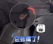 吓人！洗车时座椅缝隙钻出1条蛇