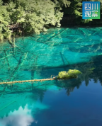 九寨沟湖水系染色？官方辟谣 澄清视频误导游客