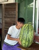 00后小伙种出百斤西瓜 打破传统认知
