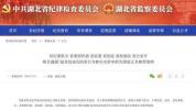 所长遭举报涉黑 官方为其澄清正名 诬告者终受法律制裁