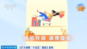 5个关键词！一文读懂中国经济半年报 体验升级消费提质引领增长