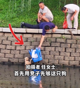狗狗落水路人翻下河堤救上岸 网友：感觉世界很美好