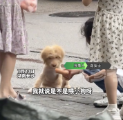 1根香肠掰两半一半饱腹一半陪伴：愿每个生命都能被尊重被温柔以待