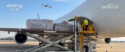 质量效率稳步提升 航空货运全球覆盖能力增强