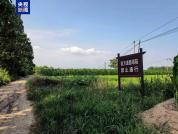 山西运城一路面塌陷处现大量白骨 系玉壁之战遗骸