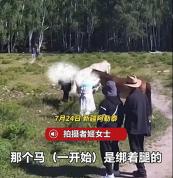 新疆一女游客坚持摸马被当场踢翻 警惕性高勿随意接触