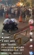 6小时破案 邯郸街头上演“抓捕”大片