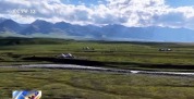 自然资源部：2030年全国森林覆盖率力争达25.8%
