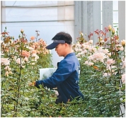 科技小院里的年轻人 把青春华章写在田间地头