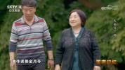 两个孩子创作的这首歌 中国人都会唱 儿时记忆中的旋律