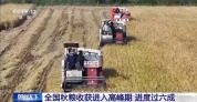 全国秋粮收获进入高峰期 进度过六成