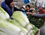 日本高价白菜背后藏着多大雷区 天气与汇率双重打击