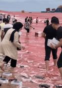 苹果回应货轮沉没大量iPhone漂浮海面 官方将妥善处理