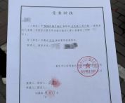 坠亡幼童母亲还原丈夫遛狗时间线 12分钟悲剧引发争议