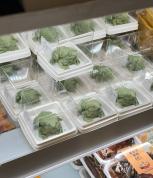 中国农大食堂蛤蟆蛋糕走红 独特造型吸引抢购热潮