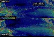 NASA卫星直击“最强厄尔尼诺”：赤道太平洋海水由绿变蓝 浮游生物断粮引发变化