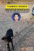 女子被狗咬伤后不久狗死了 提醒勿盲目靠近受伤小狗