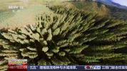 随处可见的“长征印记” 红色精神代代传