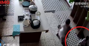 男童误把管道疏通剂当糖嘴唇被烧伤 孩子爸爸：目前还在住院治疗