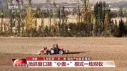 全国秋粮大面积收获进行时！各地特色产业助农增收