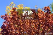 霜降养生3防3做3要吃 顺应季节调饮食