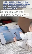 尘封的婚纱照终于等来了欣赏者，网友：厚实耐撕，画比字多！