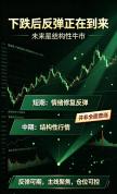任泽平：市场反弹可以期待 结构性机会显现