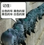 自家车经常被鸟拉屎男子莫名确诊肺炎 鸟粪引发健康隐患