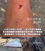 香港元朗再现狗伤人 25岁男子被3只狗围赶左脚受伤