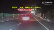 男司机龟速骑线吹牛技术第1被罚 低速行驶隐患大