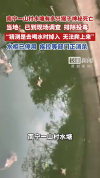 南宁一山村水塘发现多只死猴 初步怀疑为意外导致