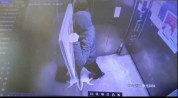 信阳一小区有人在电梯内虐猫，小区住户发现后报警，警方：案件正在处理
