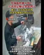 老人当顾客面偷走整笼鸽子 惯犯再作案