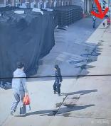 警方谈母女被没拴绳大狗逼到墙角 文明养犬需严管