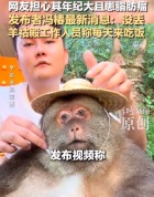 网红独臂猴疑似失联多日 网友担心其年纪大且患脂肪瘤 发布者冯椿最新消息：没丢 羊祜殿工作人员称每天来吃饭