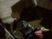 邻居称女子家鸡窝里好像有人 醉汉误入引发乌龙