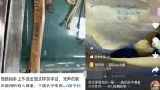 大体老师被这样对待谁还愿捐献！标本不是玩物，敬畏不能只停留在解剖课上的鞠躬里