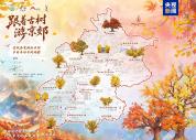 50处点位串联11个区 北京发布跟着古树游京郊游线