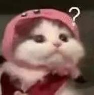 全运会还没开幕 为啥这些比赛比完了