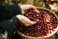 为啥吃车厘子会窜稀啊？99%是因为这个原因