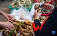 운남의 야생버섯, 시장에 대량 출품