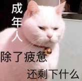 有一种审美叫金亨泰，LSP解读“油腻师姐”为什么斩男无数？