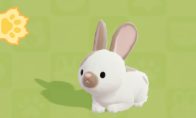 《心动小镇》兔子位置及喜爱食物分享
