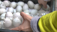 台湾闹“鸡蛋荒”：多地限购茶叶蛋 岛内市场疯抢“蛋”！
