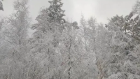 国庆去内蒙古的游客：赏秋变看雪，自驾行程受阻