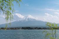 富士山雪顶迟迟未现 130年来最晚初雪纪录