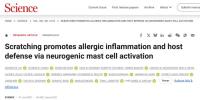 Science丨抓撓似雙刃，既擾過敏炎,，又護(hù)宿主安 揭示神經(jīng)免疫機(jī)制
