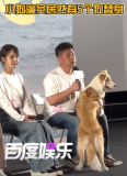 电影《我会好好的》北京首映礼：小狗演员有5个狗替身！