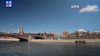 俄乌将分别与美会谈 除了停火还谈啥 穿梭外交探和平