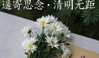 代祭扫服务兴起，争议与温情并存！90后代祭扫基础套餐定价300元